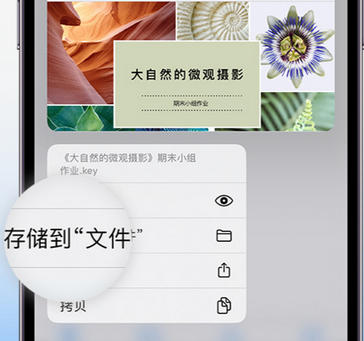 福鼎apple维修中心分享iPhone文件应用中存储和找到下载文件