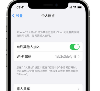 福鼎apple服务站点分享iPhone上个人热点丢失了怎么办