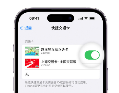 福鼎apple维修点分享iPhone上更换Apple Pay快捷交通卡手绘卡面 