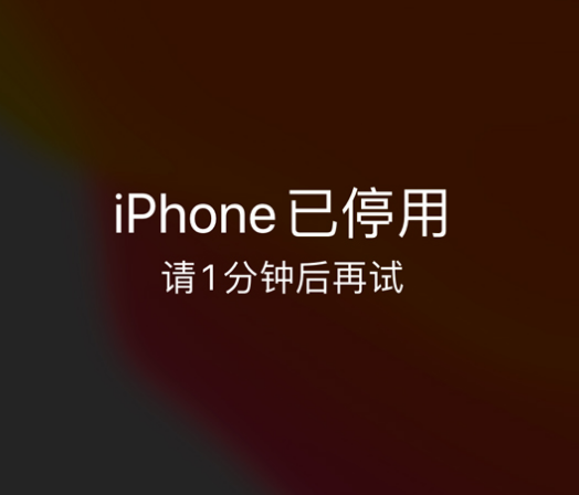 福鼎苹果手机维修分享:iPhone 显示“不可用”或“已停用”怎么办？还能保留数据吗？ 