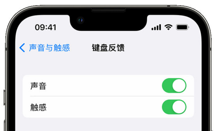 福鼎苹果手机维修分享iPhone 14触感键盘使用方法 