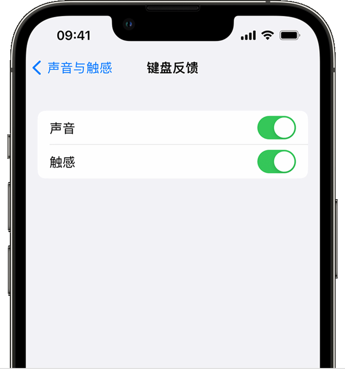 福鼎苹果14维修店分享如何在 iPhone 14 机型中使用触感键盘 