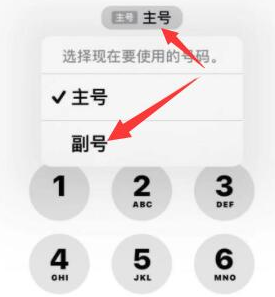 福鼎苹果14维修店分享iPhone 14 Pro Max使用副卡打电话的方法 