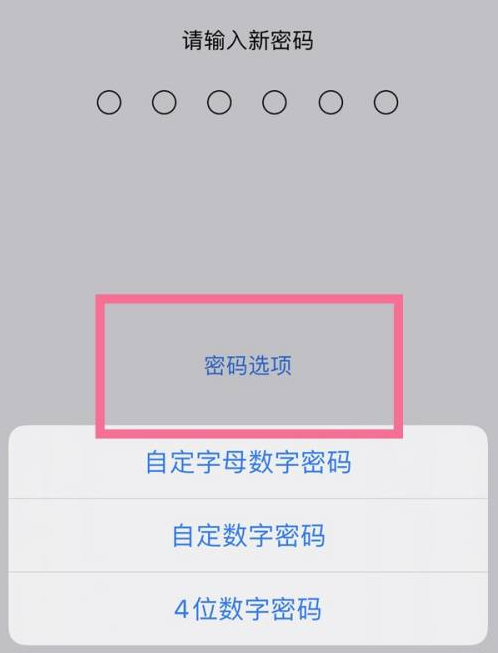 福鼎苹果14维修分享iPhone 14plus设置密码的方法 