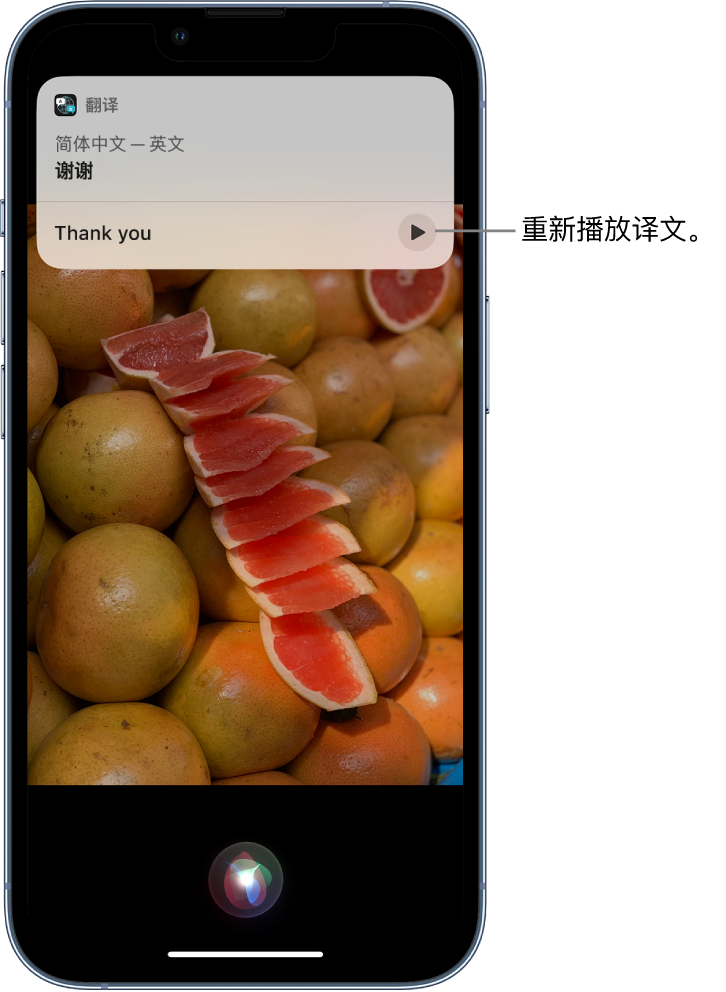 福鼎苹果14维修分享 iPhone 14 机型中使用 Siri：了解 Siri 能帮你做什么 