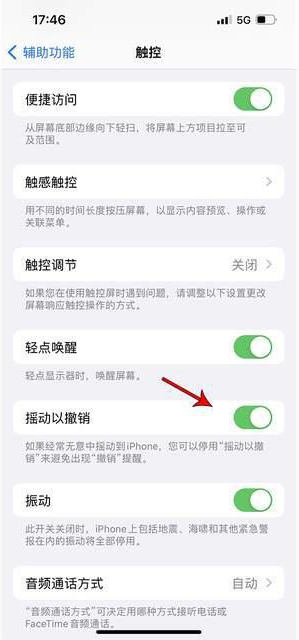 福鼎苹果手机维修分享iPhone手机如何设置摇一摇删除文字 