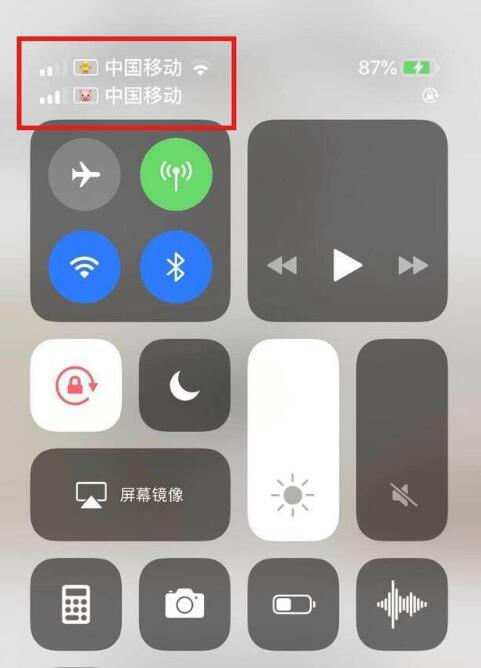 福鼎苹果手机维修分享为 iPhone 12 双卡设置标签 